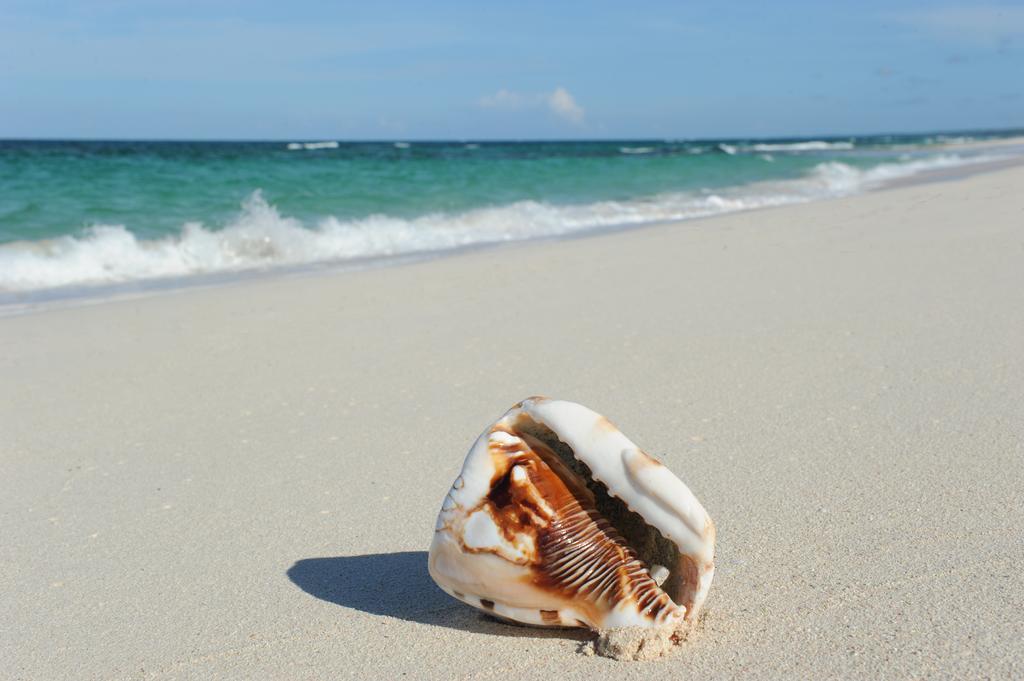 Buttonwood Reserve Condominiums Eleuthera ภายนอก รูปภาพ